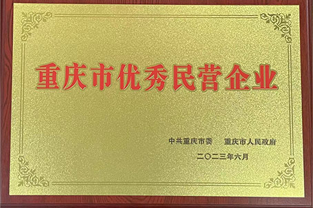 2023年重慶市優(yōu)秀民營企業(yè)